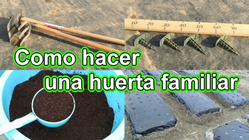 Como hacer una huerta familiar