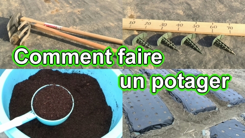 Commencer un potager