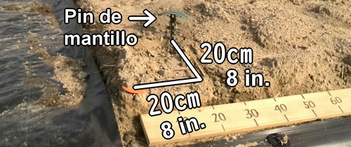 Coloca un pin de mantillo en el borde del surco (Como se realiza un huerto)