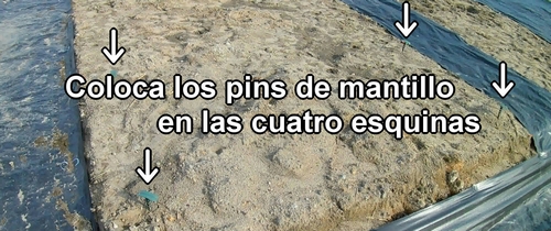 Coloca los pins de mantillo en las cuatro esquinas