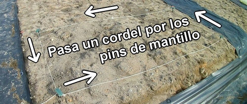 Pasa un cordel por los pins de mantillo (Como preparar un huerto)