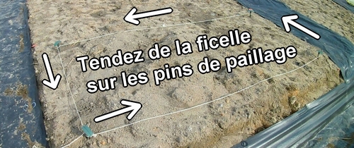 Tendez de la ficelle sur les pins de paillage (Créer un jardin potager)