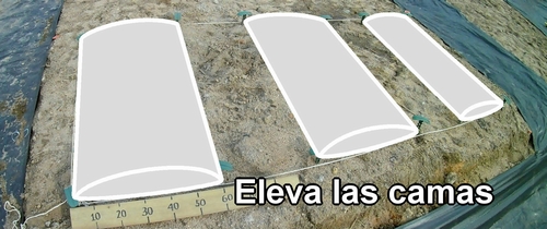 Eleva las camas