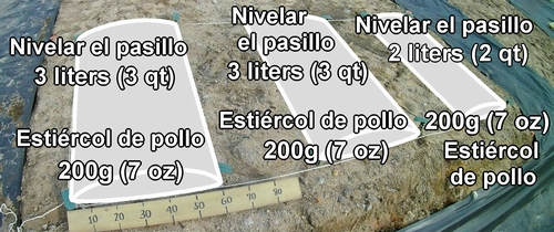 La cantidad de fertilizante para esparcir en las camas