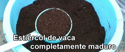 Fertilizante orgánico de estiércol de vaca (Estiércol de vaca completamente maduro)