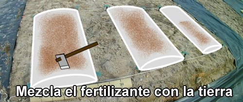 Mezcla el fertilizante con la tierra