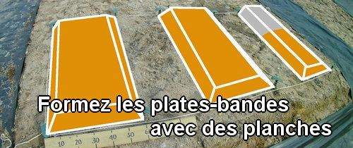 Formez les plates-bandes avec des planches