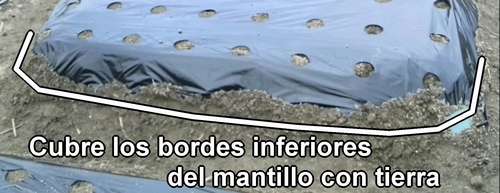 Cubre los bordes inferiores del mantillo con tierra