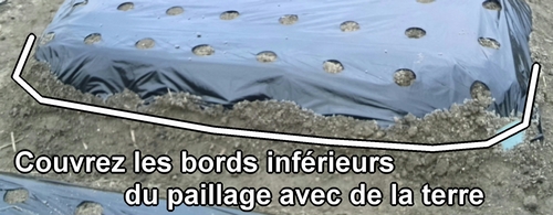 Couvrez les bords inférieurs du paillage avec de la terre