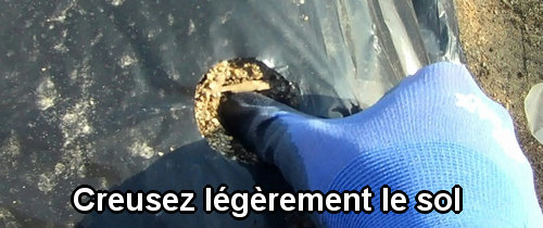 Faites légèrement des indentations dans le sol (Débuter un potager)