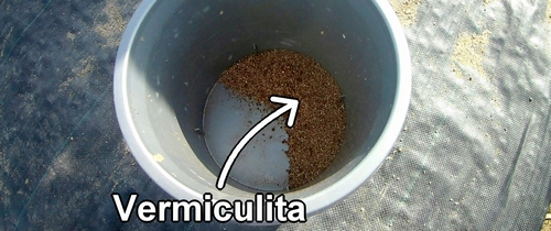 Vermiculita