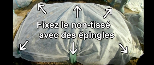 Fixez le tissu non tissé avec des épingles à paillis