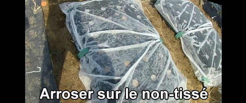 Arroser sur le non-tissé