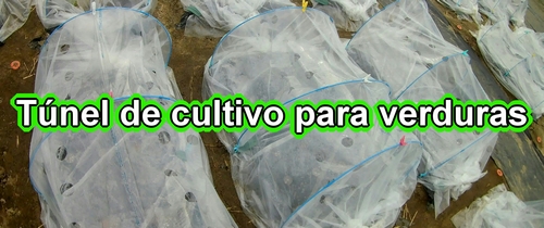 Túnel de cultivo para verduras