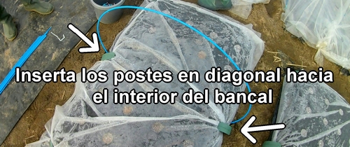 Inserta los postes flexibles en el suelo