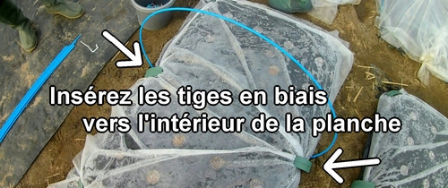 Insérez les tiges flexibles dans le sol