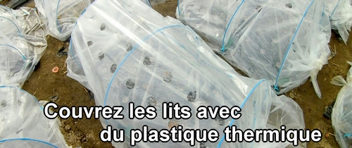 Couvrez les lits avec du plastique thermique