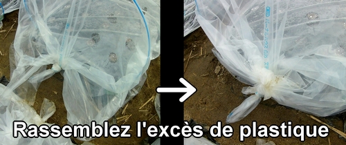 Rassemblez l'excès de plastique