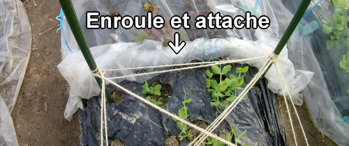 Je vais garder le plastique de la serre regroupé