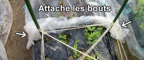 Attache les deux extrémités du plastique