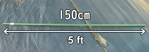 La longitud de las estacas para los guisantes es de 150cm (5 feet)