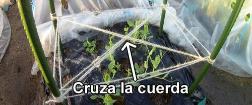 Cruza la cuerda