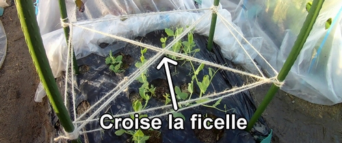 Croise la ficelle