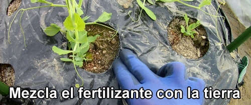 Mezcla el fertilizante con la tierra