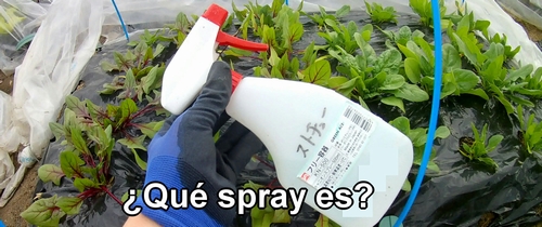 ¿Qué spray es?