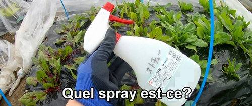 Quel spray est-ce?