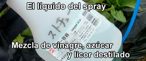 El líquido mezclado con vinagre, azúcar y shochu (licor destilado)