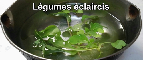 Légumes éclaircis