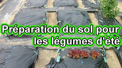 Préparation du sol pour les aubergines, le gingembre, les edamames, etc