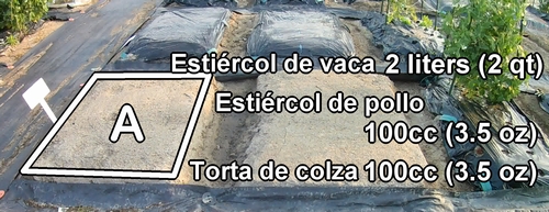 El fertilizante orgánico necesario para la fila A incluye estiércol de vaca, estiércol de pollo y torta de aceite