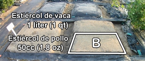 El fertilizante orgánico necesario para la fila B incluye estiércol de vaca y estiércol de pollo