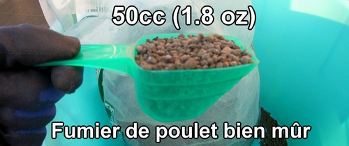 Fumier de poulet bien mûr