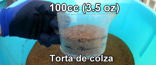 Torta de colza, un fertilizante orgánico rico en nitrógeno