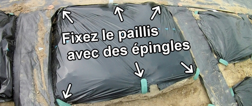 Couvrez les lits avec du paillis