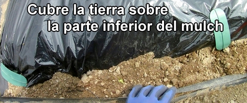 Cubre la tierra sobre la parte inferior del mulch