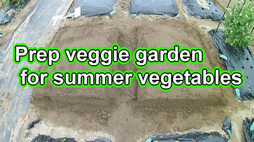 Preparing vegetable garden for summer vegetables