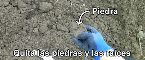 Quita las piedras y las raíces