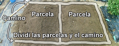 Se separaron las parcelas y los caminos