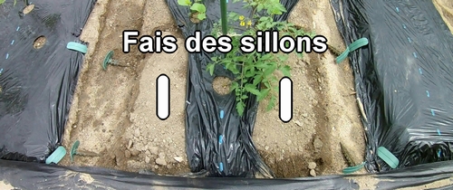 La position des sillons