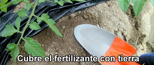 Cubre el fertilizante con tierra