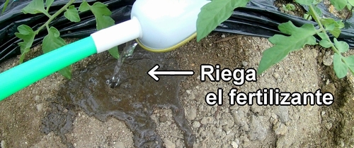 Riega el fertilizante