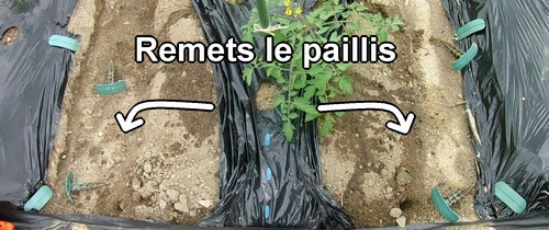 Remets le paillis