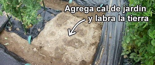 Agrega cal dolomítica (Cal de jardín)