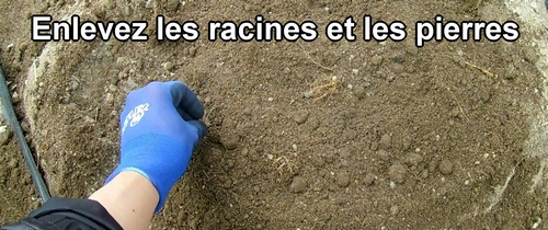 Enlevez les racines et les pierres