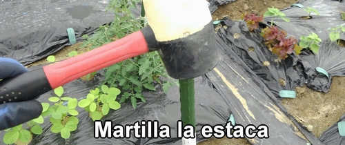 Martillar