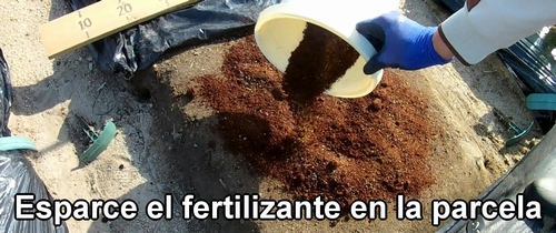 Esparce el fertilizante en la parcela